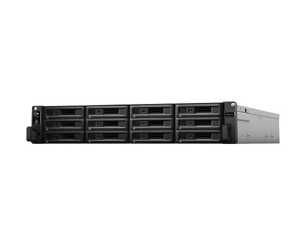 RS3621xs+